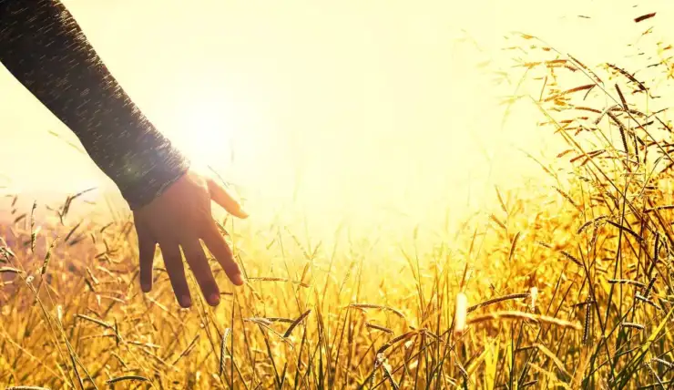 Réapprendre la vie… autrement