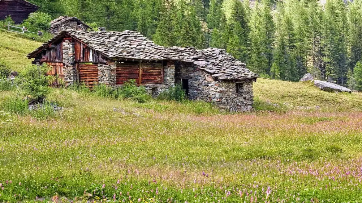 Auto, boulot, impôts