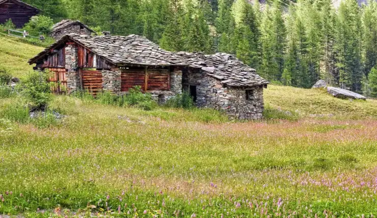 Auto, boulot, impôts