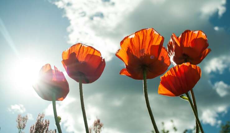 Trois minutes de silence… qui ont fait du bruit