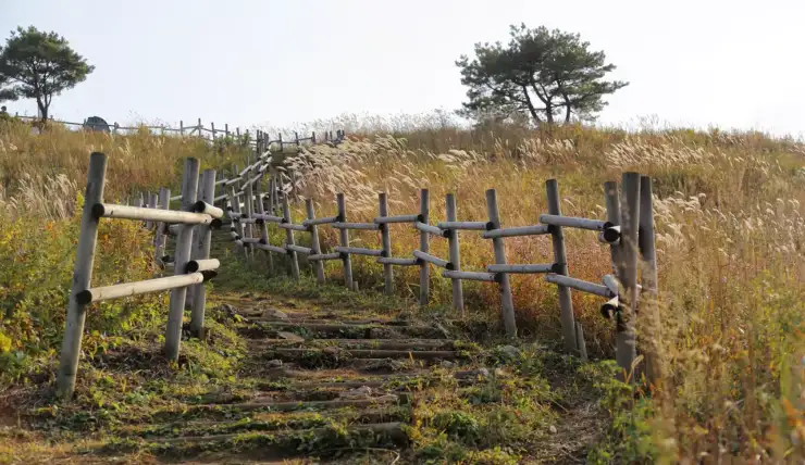 Vieillir paisiblement à la campagne ?